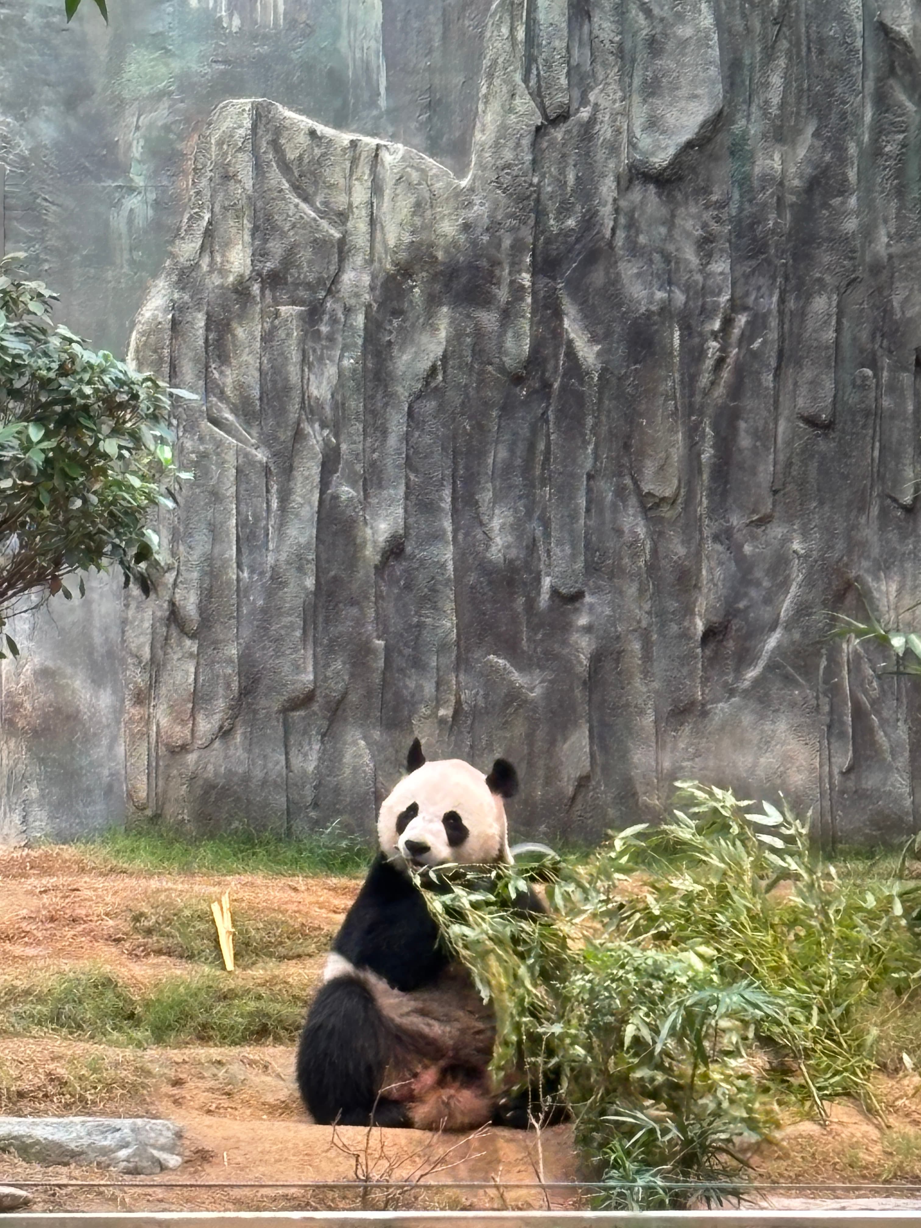 ocean park · hk